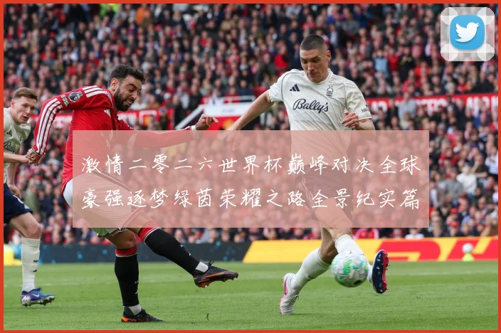 激情二零二六世界杯巅峰对决全球豪强逐梦绿茵荣耀之路全景纪实篇战术观察-深度解析
