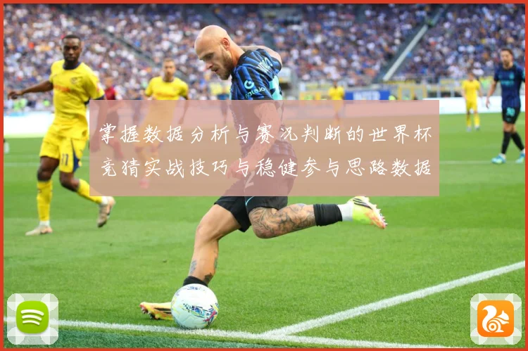 掌握数据分析与赛况判断的世界杯竞猜实战技巧与稳健参与思路数据研判-深度解析